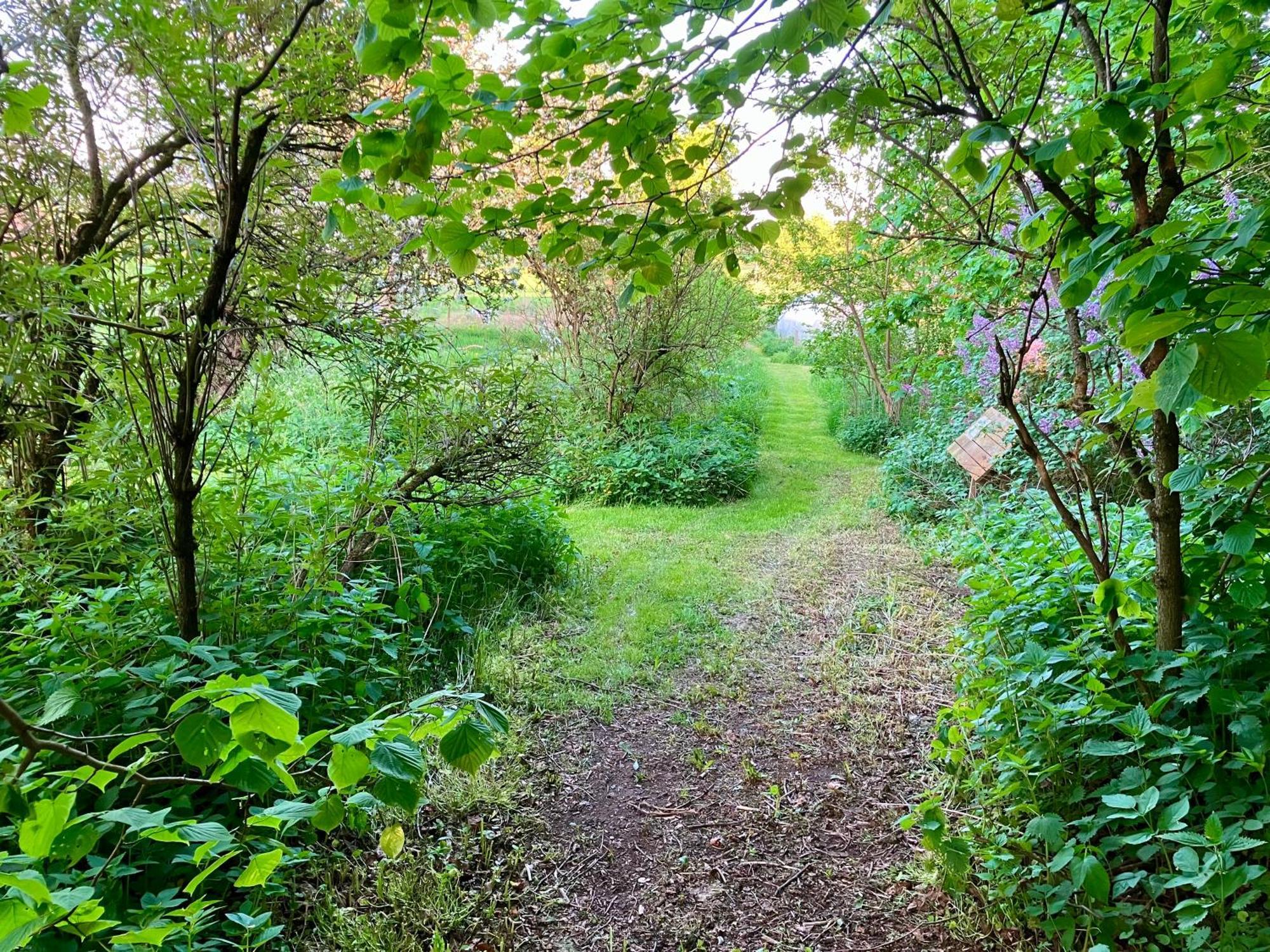 Lidhem Herrgard. Bed & Breakfast Och Mindre Laegenheter ビンメルビュー エクステリア 写真