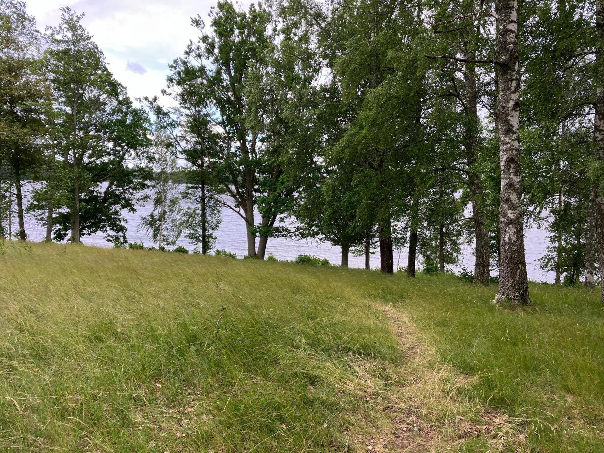 Lidhem Herrgard. Bed & Breakfast Och Mindre Laegenheter ビンメルビュー エクステリア 写真