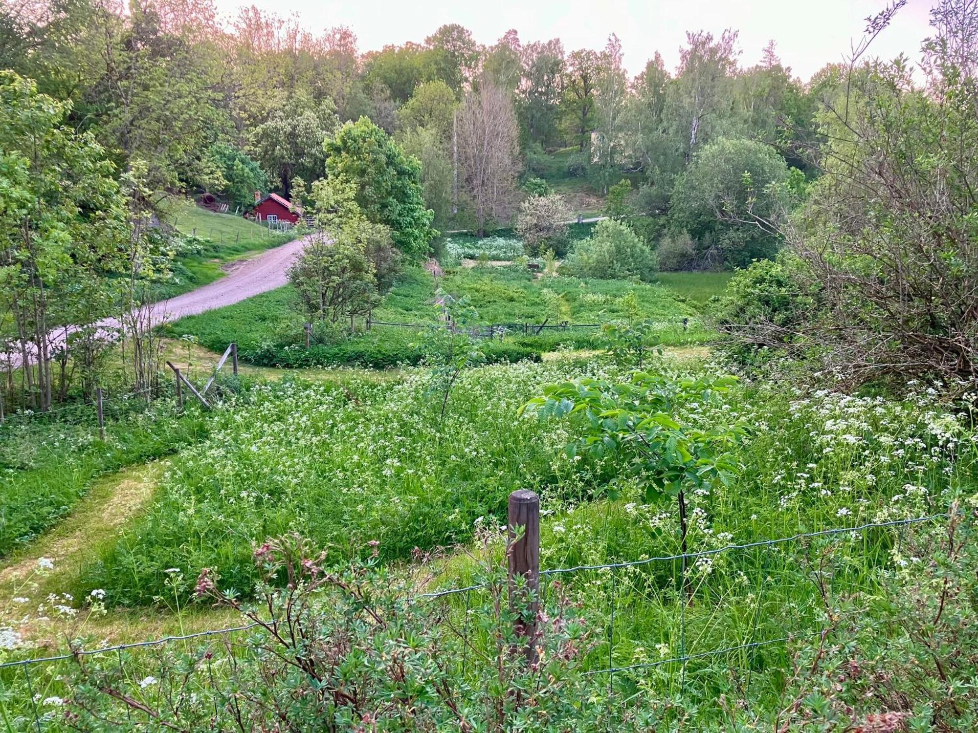 Lidhem Herrgard. Bed & Breakfast Och Mindre Laegenheter ビンメルビュー エクステリア 写真