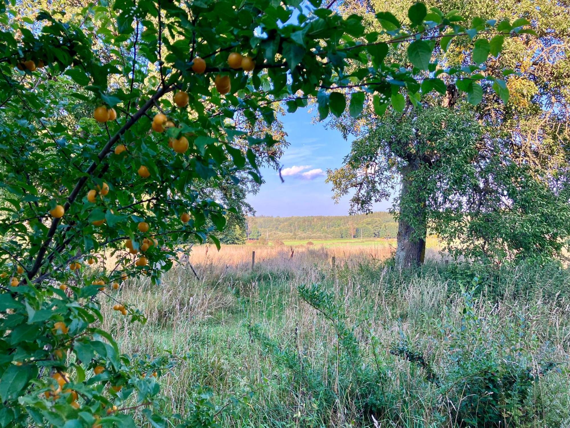 Lidhem Herrgard. Bed & Breakfast Och Mindre Laegenheter ビンメルビュー エクステリア 写真